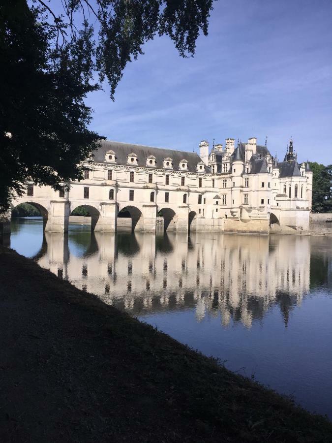Willa Au Coeur De La Cour Saint-Georges-sur-Cher Zewnętrze zdjęcie